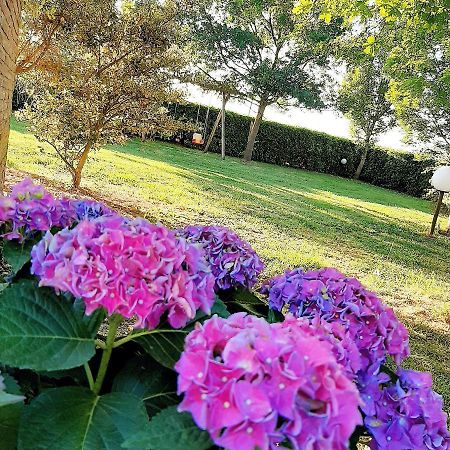 Locanda Merlaschio Faenza Dış mekan fotoğraf