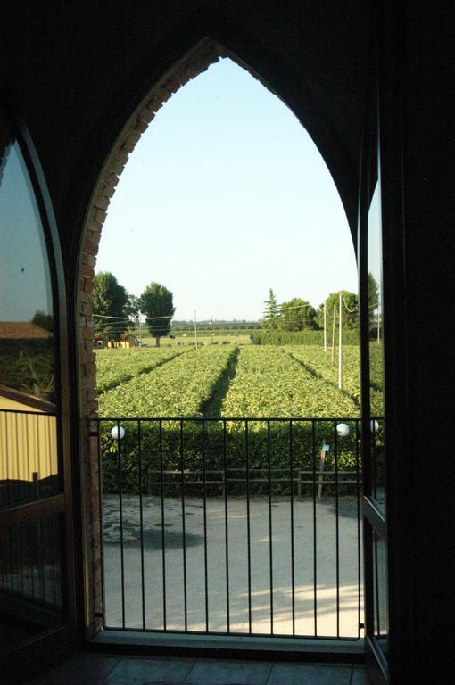 Locanda Merlaschio Faenza Oda fotoğraf