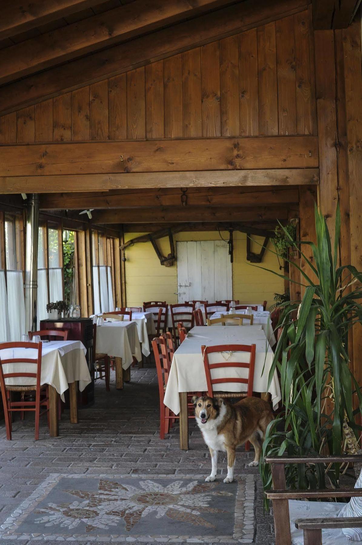 Locanda Merlaschio Faenza Dış mekan fotoğraf